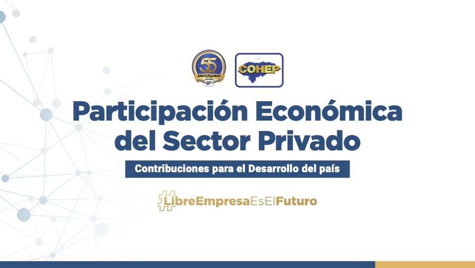 Participación Económica del Sector Privado en la Economía